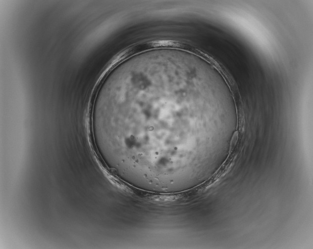 X0000116020861200911271114