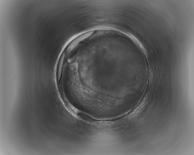 X0000116020862200911271114