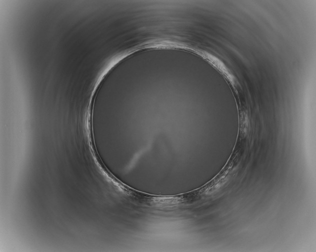 X0000116020863200911271114