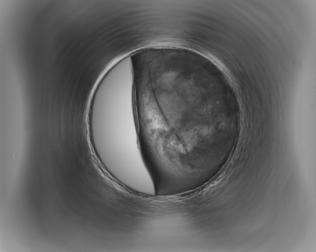 X0000116020864200911271114