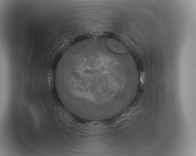 X0000116020867200911271114