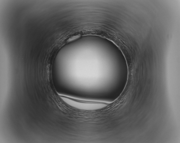 X0000116020868200911271114