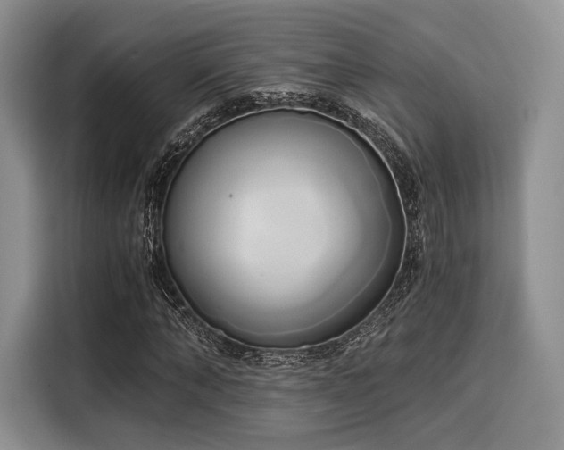 X0000116020870200911271114