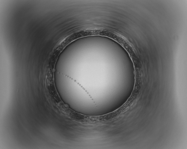 X0000116020871200911271114