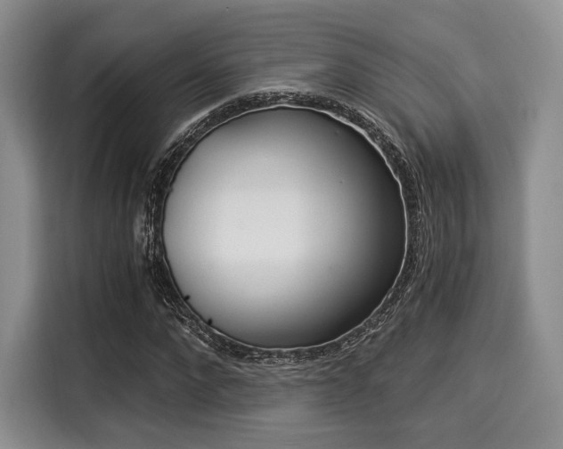 X0000116020872200911271114