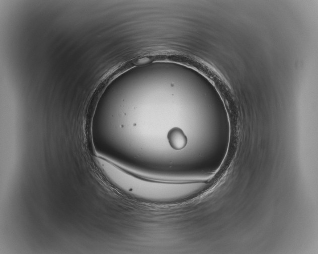 X0000116020873200911271114