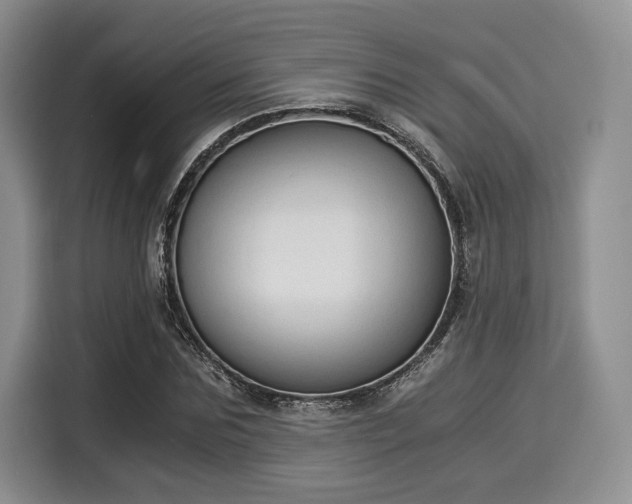 X0000116020875200911271114