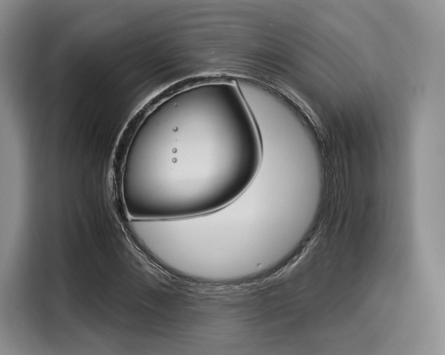 X0000116020876200911271114