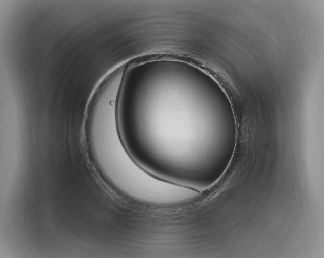 X0000116020880200911271114