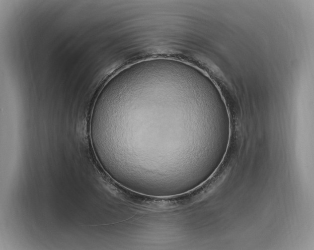 X0000116020881200911271114