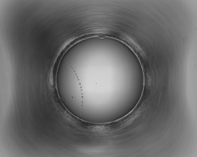 X0000116020883200911271114