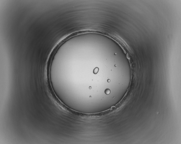 X0000116020884200911271114