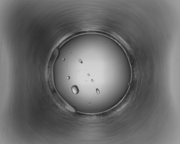 X0000116020885200911271114