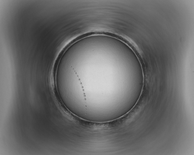 X0000116020887200911271114