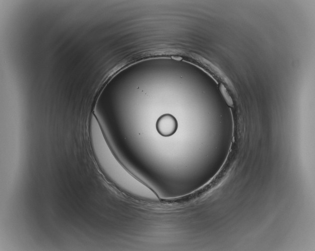 X0000116020889200911271114