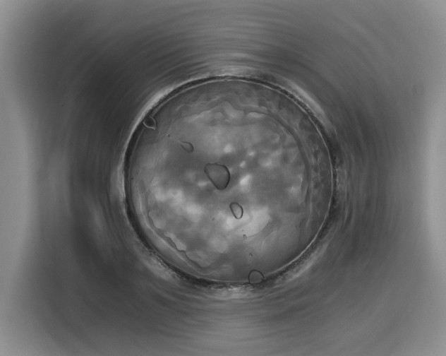 X0000116020891200911271114