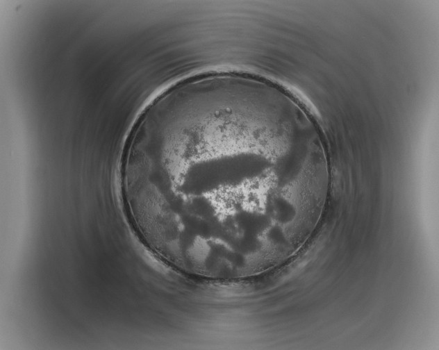 X0000116020895200911271113