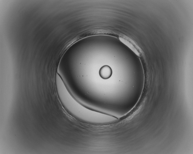 X0000116020897200911271113