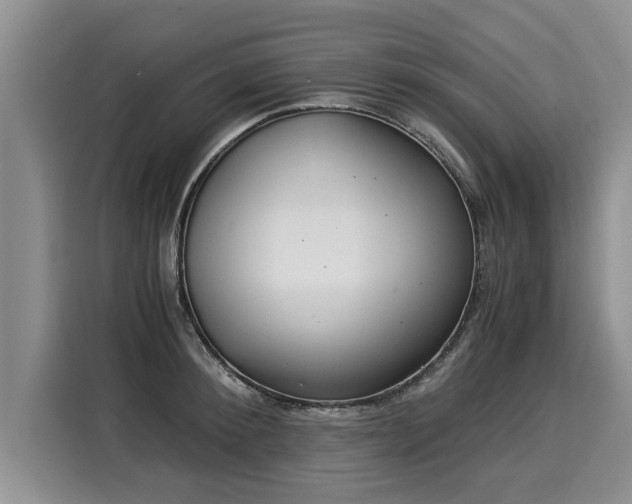 X0000116020900200911271113