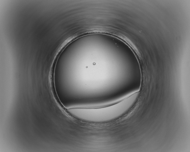 X0000116020901200911271113