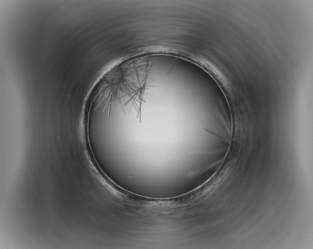 X0000116020902200911271113
