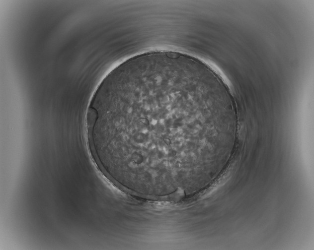 X0000116020903200911271113