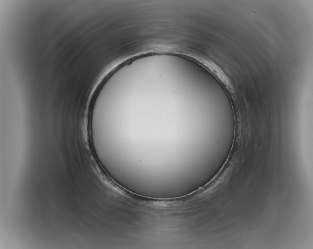 X0000116020904200911271113