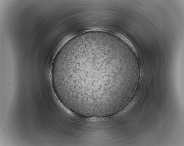 X0000116020906200911271113