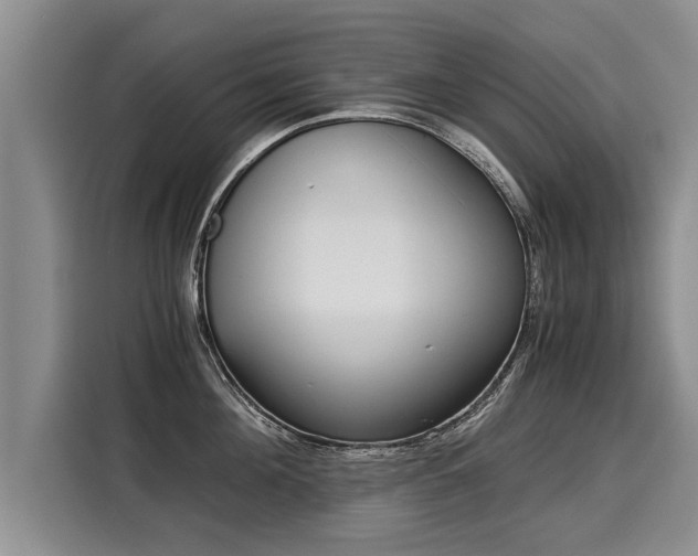 X0000116020908200911271113