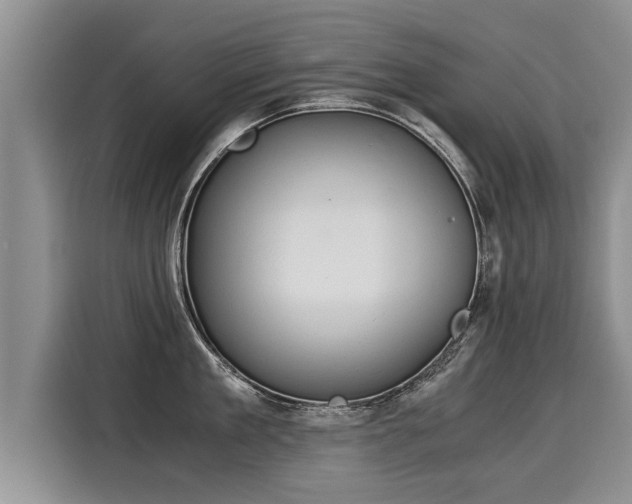 X0000116020909200911271113