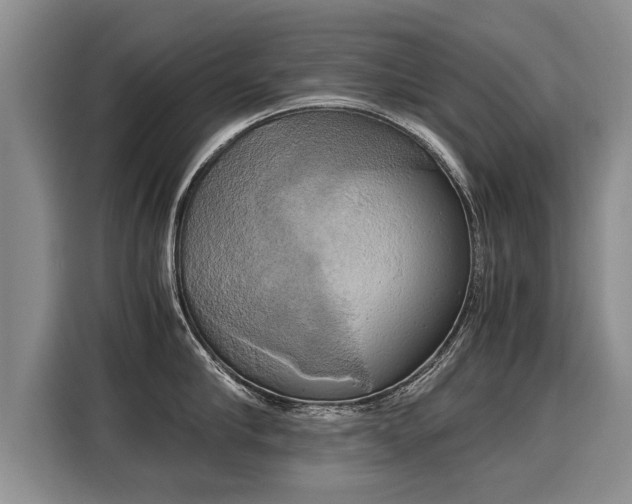 X0000116020910200911271113