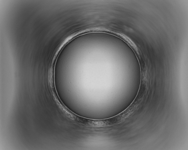 X0000116020911200911271113