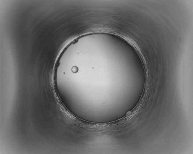 X0000116020912200911271113