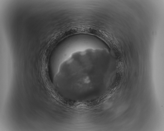 X0000116020913200911271113