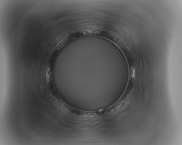 X0000116020915200911271113