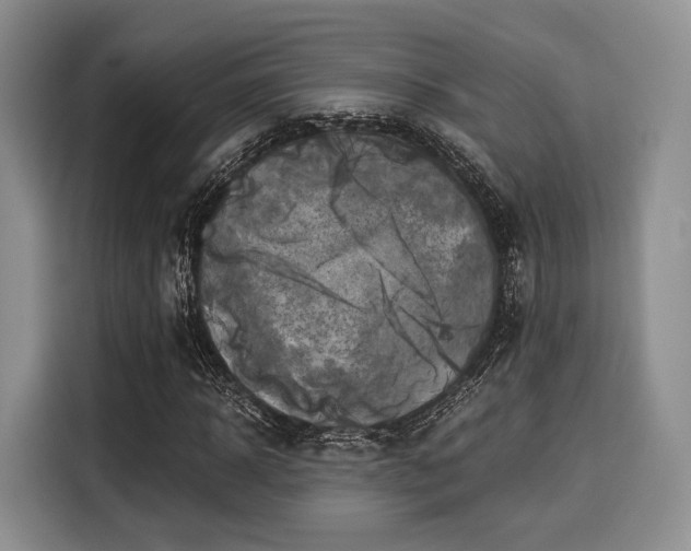 X0000116020918200911271113