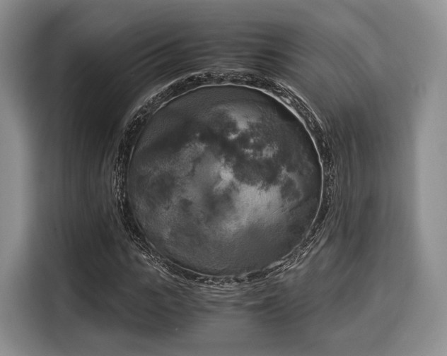 X0000116020919200911271113