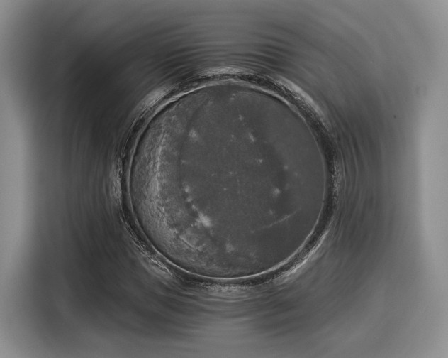 X0000116020921200911271113