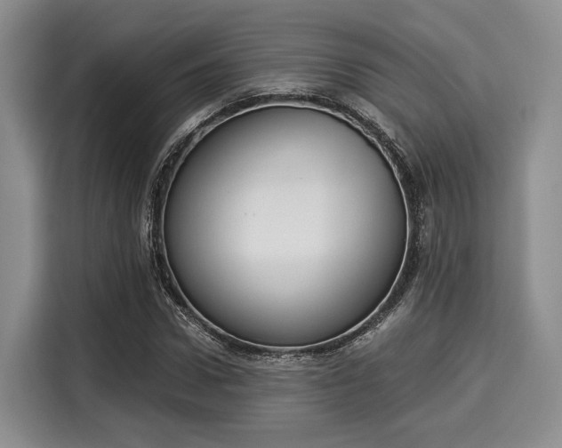 X0000116020922200911271113