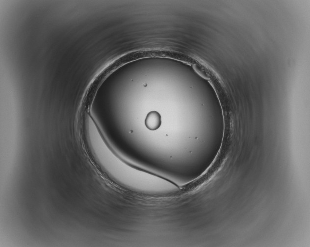 X0000116020925200911271113