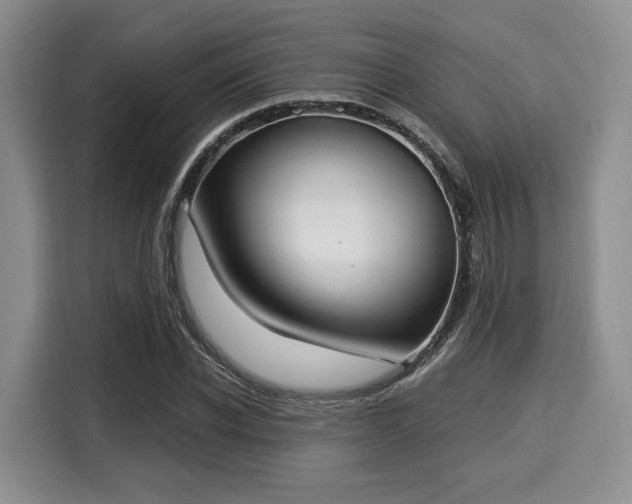 X0000116020926200911271113