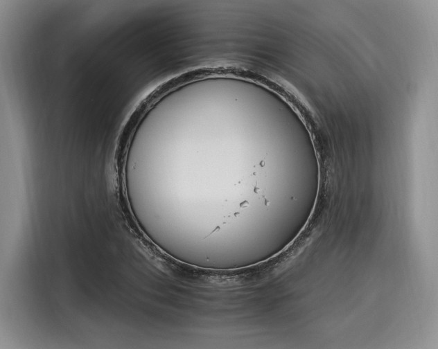 X0000116020927200911271113