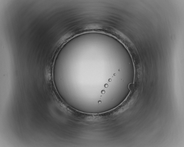 X0000116020929200911271113