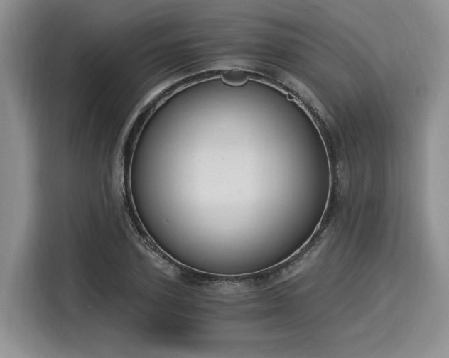 X0000116020931200911271113