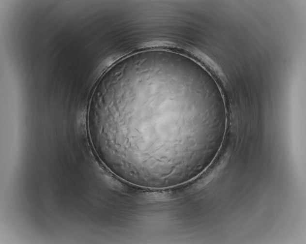 X0000116020937200911271113