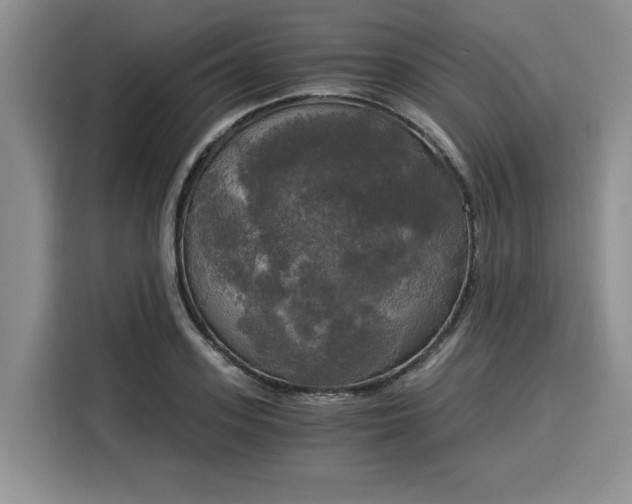 X0000116020939200911271113