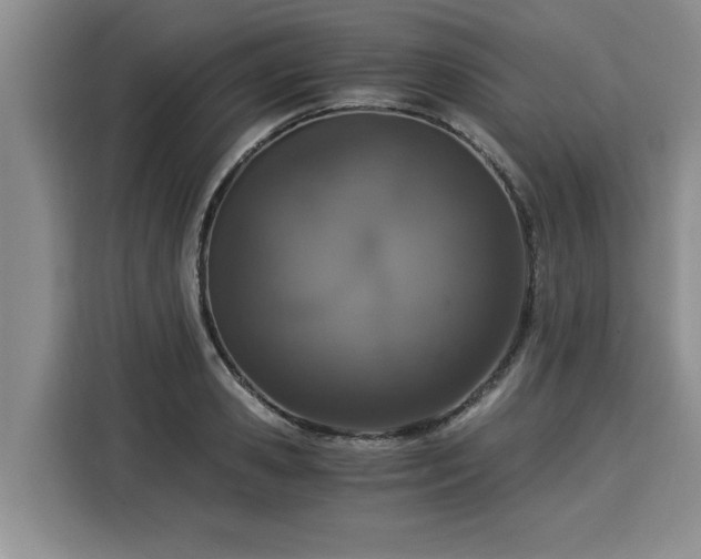 X0000116020941200911271113