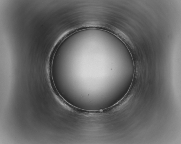 X0000116020942200911271113