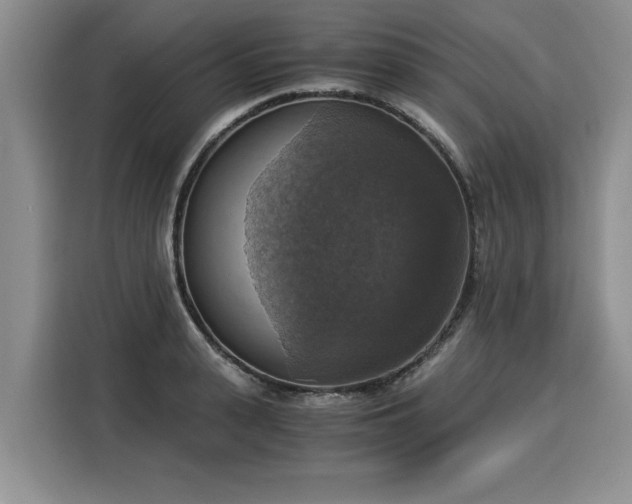 X0000116020943200911271113