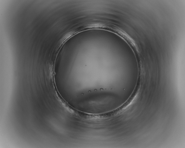 X0000116020945200911271113